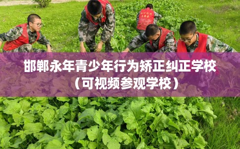 邯郸永年青少年行为矫正纠正学校（可视频参观学校）