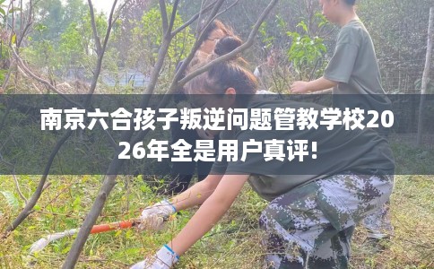 南京六合孩子叛逆问题管教学校2026年全是用户真评!