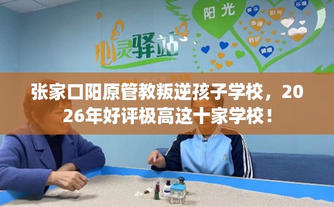 张家口阳原管教叛逆孩子学校，2026年好评极高这十家学校！