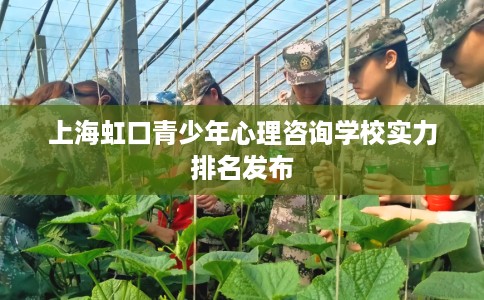 上海虹口青少年心理咨询学校实力排名发布