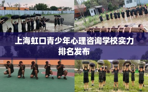 上海虹口青少年心理咨询学校实力排名发布