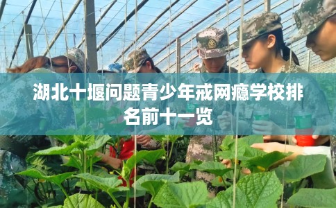 湖北十堰问题青少年戒网瘾学校排名前十一览
