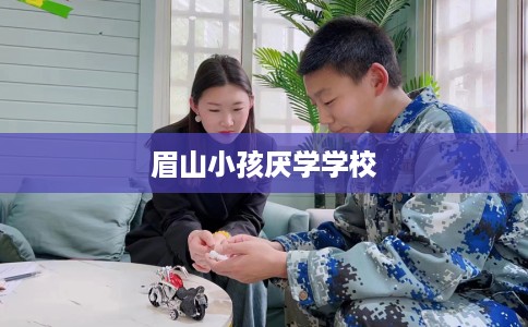 眉山小孩厌学学校