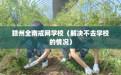 赣州全南戒网学校（解决不去学校的情况）