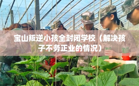 宝山叛逆小孩全封闭学校（解决孩子不务正业的情况）