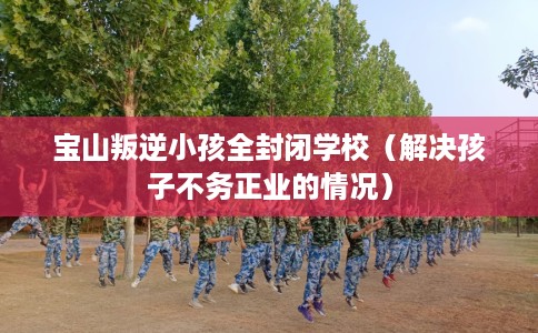 宝山叛逆小孩全封闭学校（解决孩子不务正业的情况）