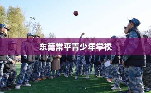 东莞常平青少年学校