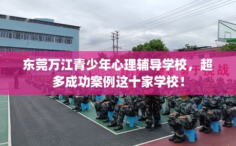 东莞万江青少年心理辅导学校，超多成功案例这十家学校！