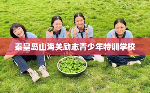 秦皇岛山海关励志青少年特训学校