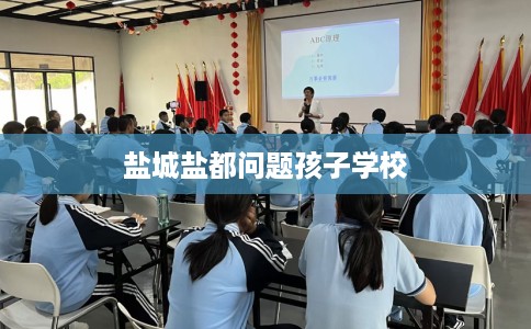 盐城盐都问题孩子学校