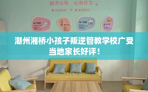 潮州湘桥小孩子叛逆管教学校广受当地家长好评！