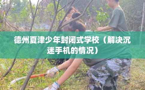德州夏津少年封闭式学校（解决沉迷手机的情况）
