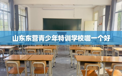 山东东营青少年特训学校哪一个好