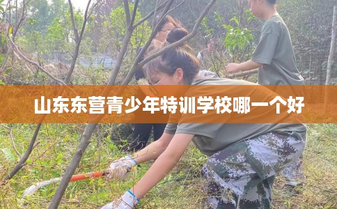 山东东营青少年特训学校哪一个好