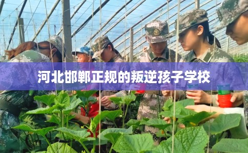 河北邯郸正规的叛逆孩子学校