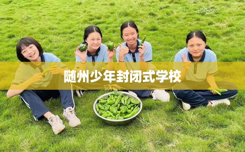 随州少年封闭式学校