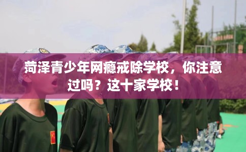 菏泽青少年网瘾戒除学校，你注意过吗？这十家学校！