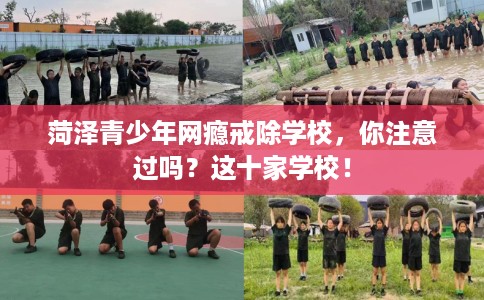 菏泽青少年网瘾戒除学校，你注意过吗？这十家学校！