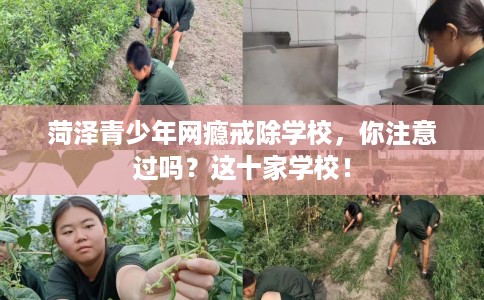 菏泽青少年网瘾戒除学校，你注意过吗？这十家学校！