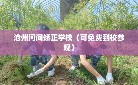 沧州河间矫正学校（可免费到校参观）