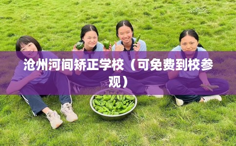 沧州河间矫正学校（可免费到校参观）