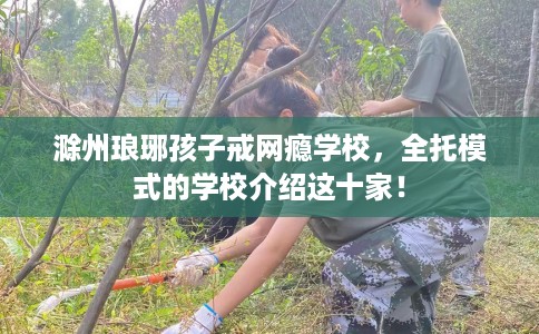 滁州琅琊孩子戒网瘾学校，全托模式的学校介绍这十家！