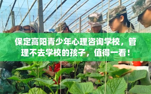 保定高阳青少年心理咨询学校，管理不去学校的孩子，值得一看！