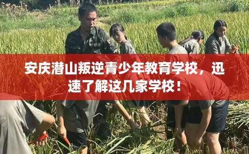 安庆潜山叛逆青少年教育学校，迅速了解这几家学校！