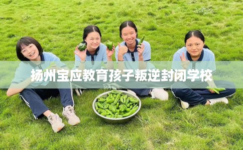 扬州宝应教育孩子叛逆封闭学校