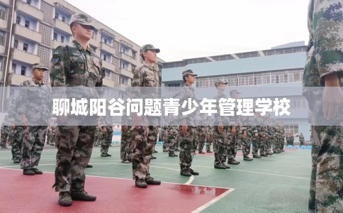 聊城阳谷问题青少年管理学校