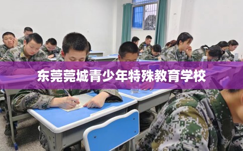 东莞莞城青少年特殊教育学校