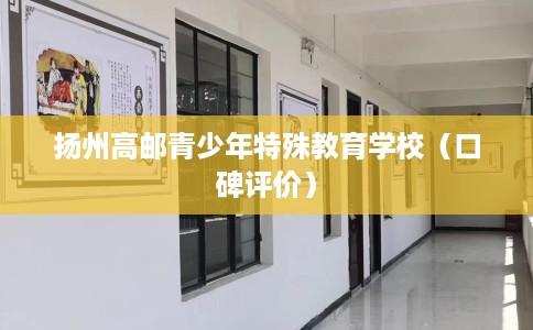 扬州高邮青少年特殊教育学校（口碑评价）