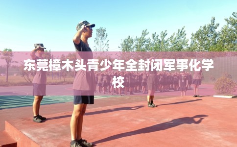 东莞樟木头青少年全封闭军事化学校