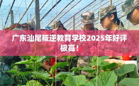 广东汕尾叛逆教育学校2025年好评极高！