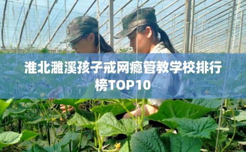 淮北濉溪孩子戒网瘾管教学校排行榜TOP10