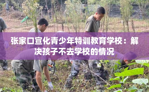 张家口宣化青少年特训教育学校：解决孩子不去学校的情况