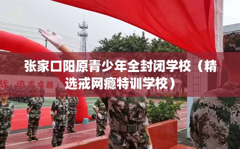 张家口阳原青少年全封闭学校（精选戒网瘾特训学校）