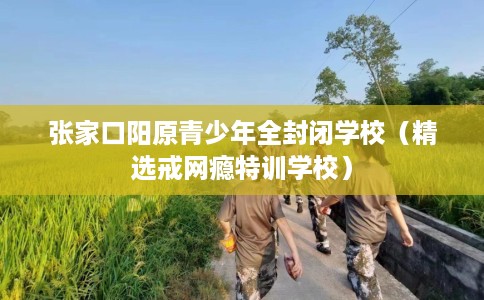 张家口阳原青少年全封闭学校（精选戒网瘾特训学校）
