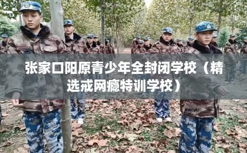 张家口阳原青少年全封闭学校（精选戒网瘾特训学校）