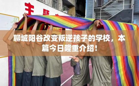 聊城阳谷改变叛逆孩子的学校，本篇今日隆重介绍！