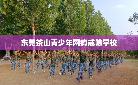 东莞茶山青少年网瘾戒除学校
