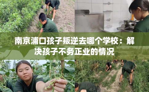 南京浦口孩子叛逆去哪个学校：解决孩子不务正业的情况