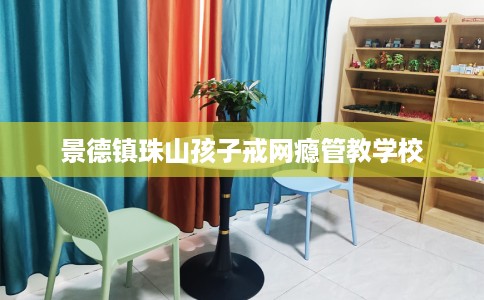 景德镇珠山孩子戒网瘾管教学校