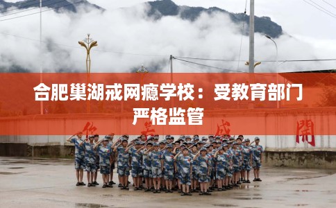 合肥巢湖戒网瘾学校：受教育部门严格监管