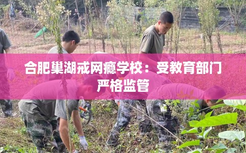 合肥巢湖戒网瘾学校：受教育部门严格监管