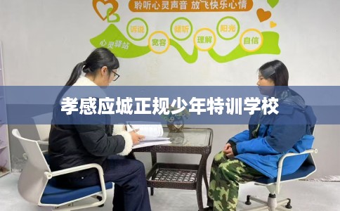 孝感应城正规少年特训学校