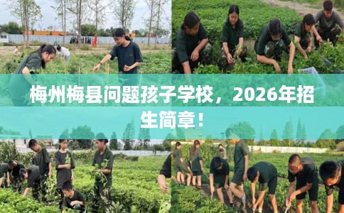 梅州梅县问题孩子学校，2026年招生简章！