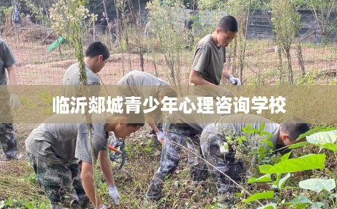 临沂郯城青少年心理咨询学校