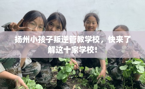 扬州小孩子叛逆管教学校，快来了解这十家学校!