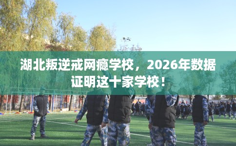 湖北叛逆戒网瘾学校，2026年数据证明这十家学校！